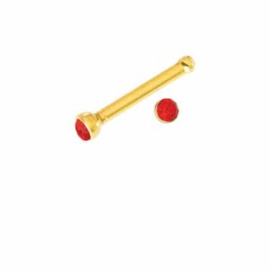 Nose Ring (Red Stone)